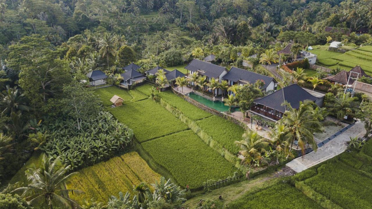 Pinggala Villa Ubud Payangan Exterior foto